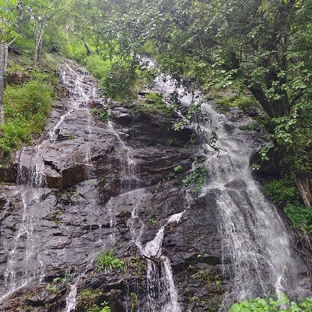 Coorg Divine Spark Home Stay Suntikoppa Zewnętrze zdjęcie