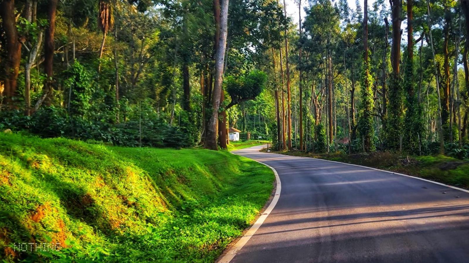 Coorg Divine Spark Home Stay Suntikoppa Zewnętrze zdjęcie